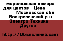 морозильная камера для цветов › Цена ­ 45000-50000 - Московская обл., Воскресенский р-н Электро-Техника » Другое   